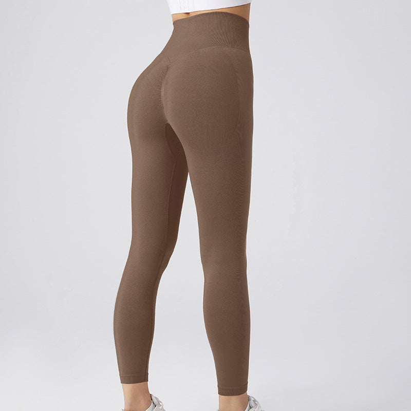 Seamless Yoga Leggings